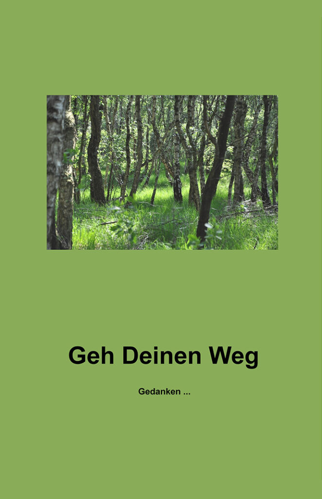 Buchtitel „Geh Deinen Weg“ – grüner Wald mit lichtdurchflutetem Pfad, Symbol für persönliche Entwicklung, Selbstfindung und eigene Lebensentscheidungen.